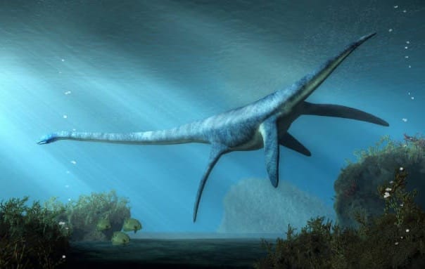 Dive in to the Past!