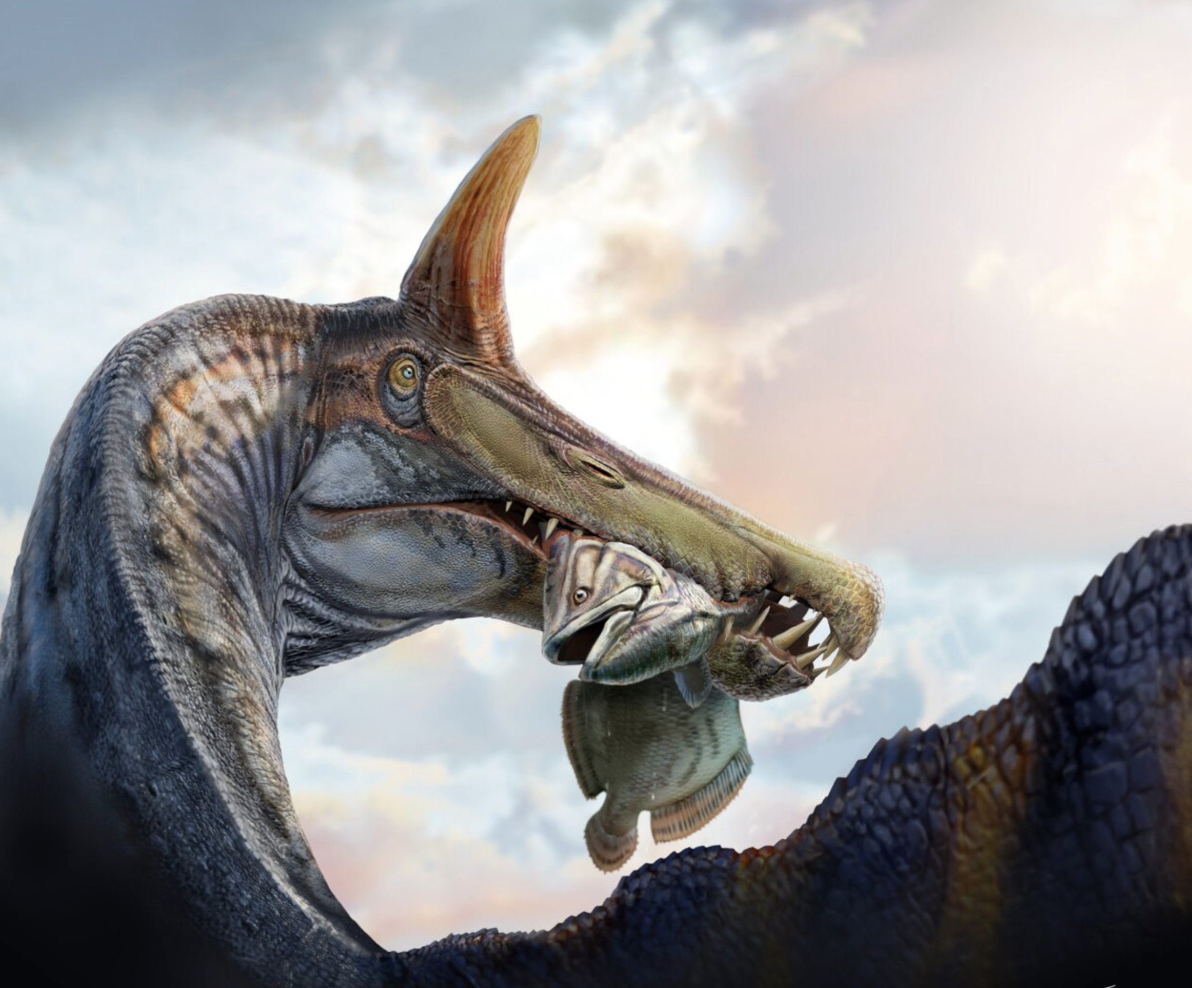 Winter 2026 : The Dinosaurs Discovered This Season