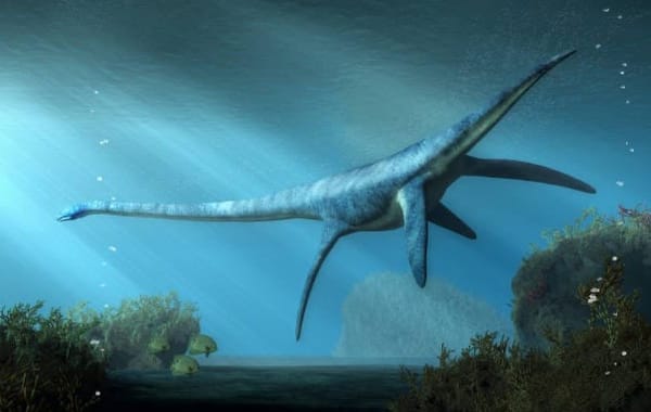 Dive in to the Past!