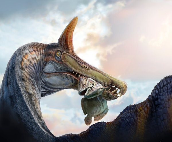 Winter 2026 : The Dinosaurs Discovered This Season